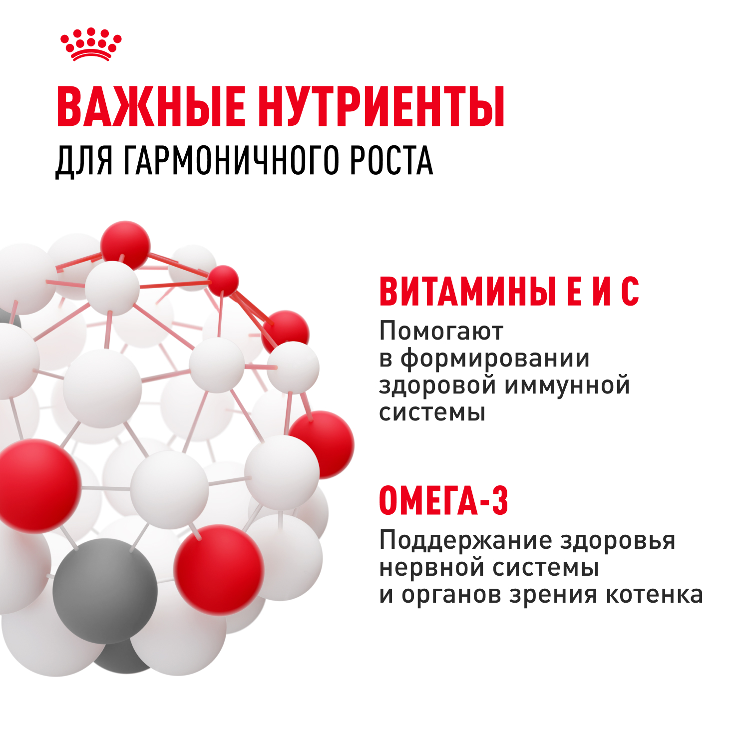 Корм влажный для котят ROYAL CANIN Kitten 85г кусочки в соусе 77851 - фото 5