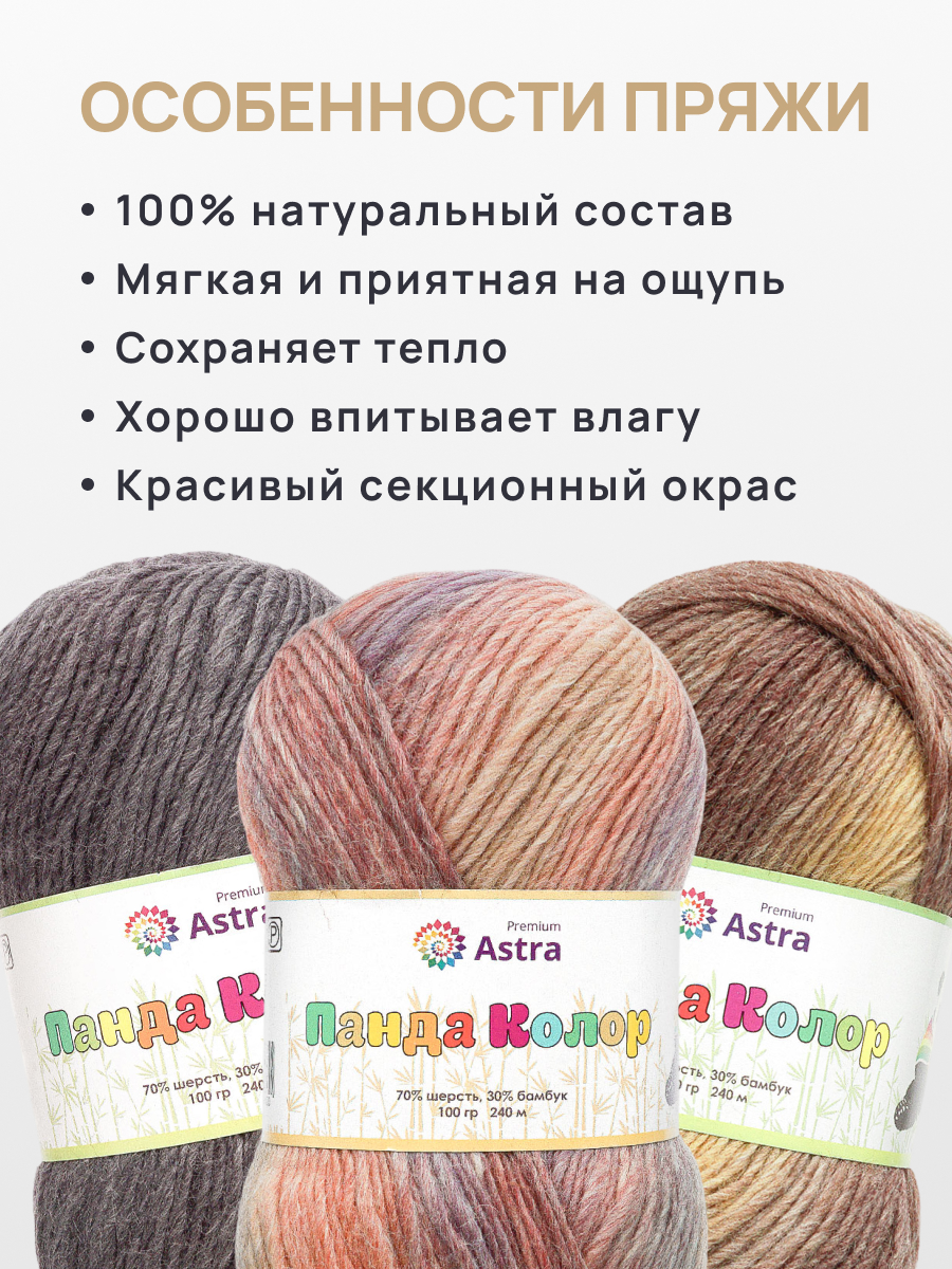 Пряжа для вязания Astra Premium 100г 240м 3 - фото 3