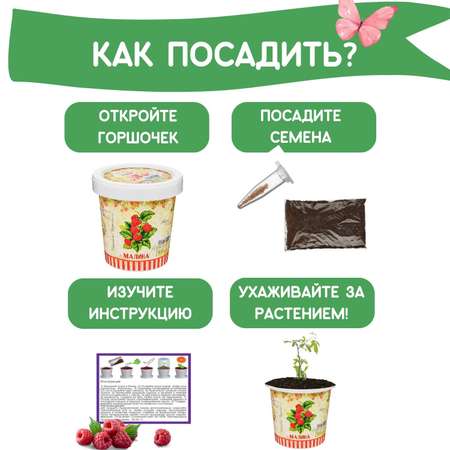 Набор для выращивания Rostok Visa