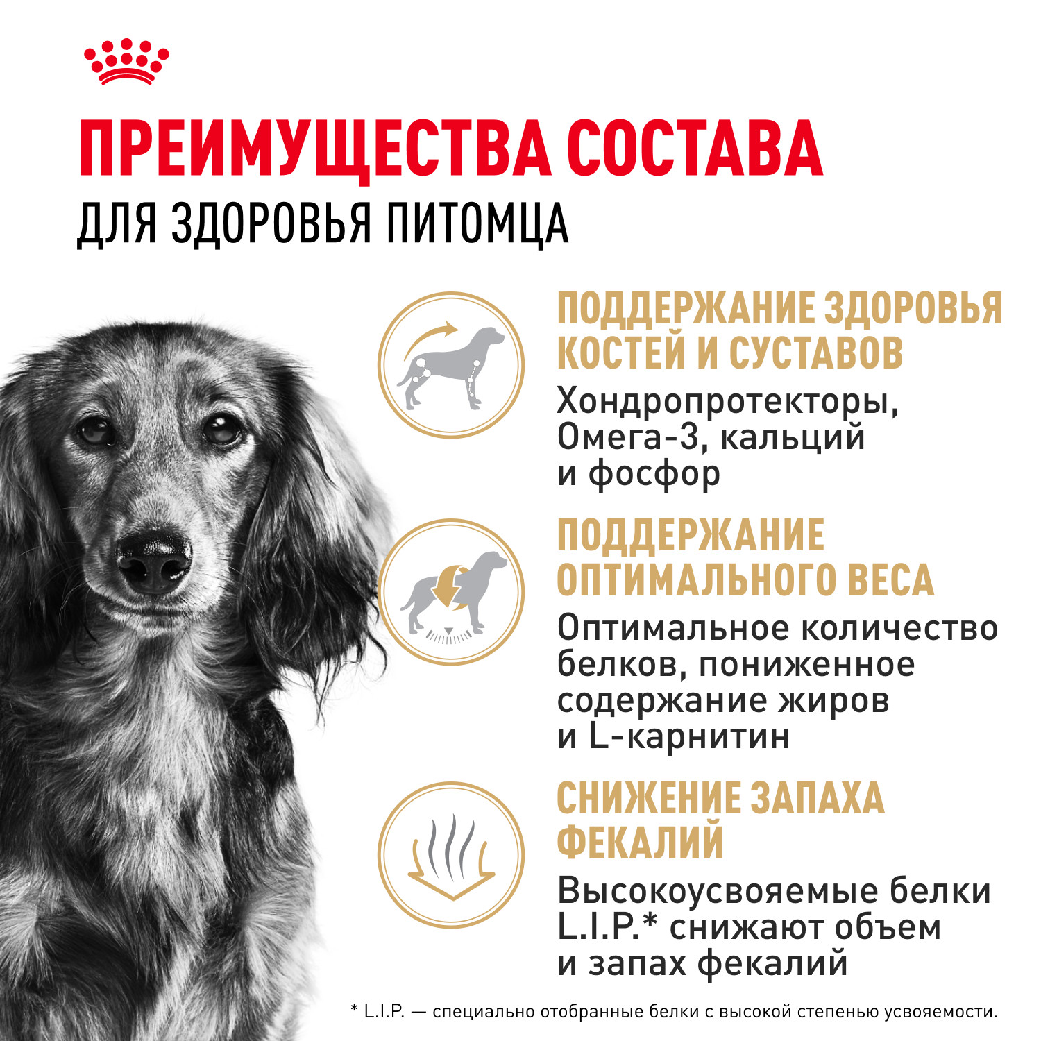 Корм для собак ROYAL CANIN породы такса 7.5кг - фото 3