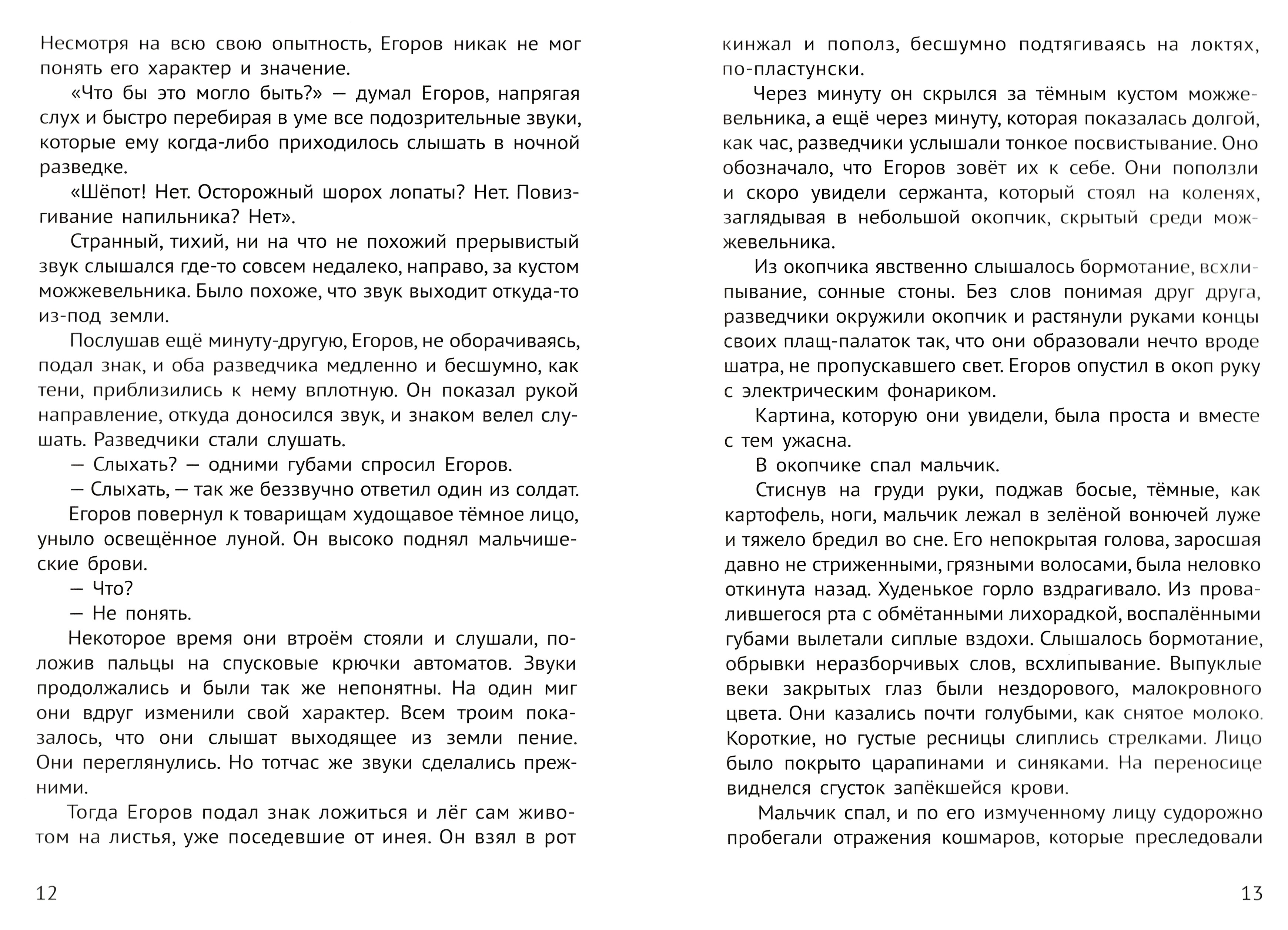 Книга Качели Сын полка - фото 7