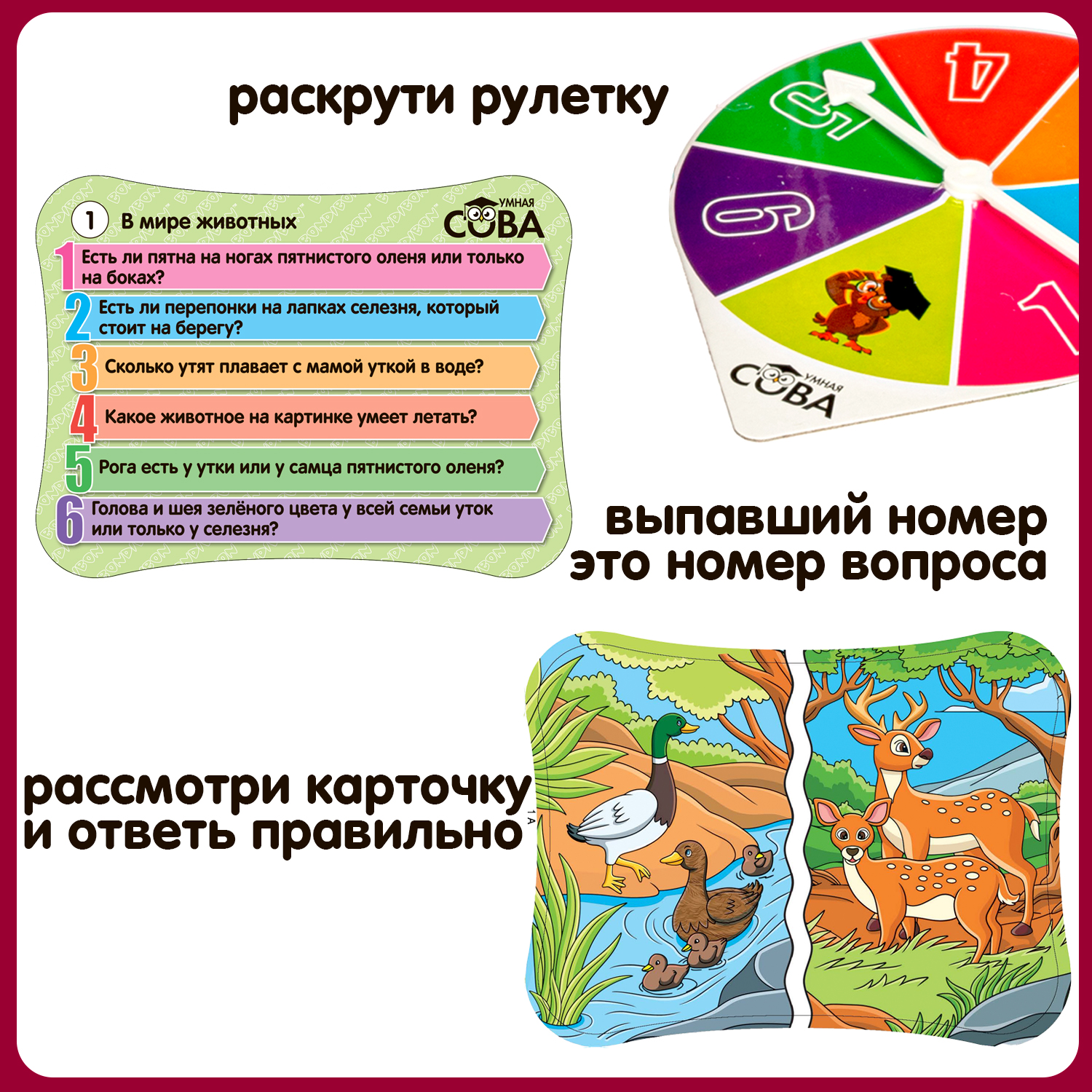 Настольная игра Bondibon викторина карточная Животные - фото 3