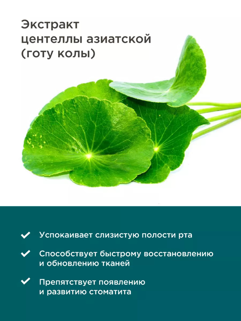 Бальзам-ополаскиватель PERFECT4U для полости рта с центеллой азиатской - фото 4
