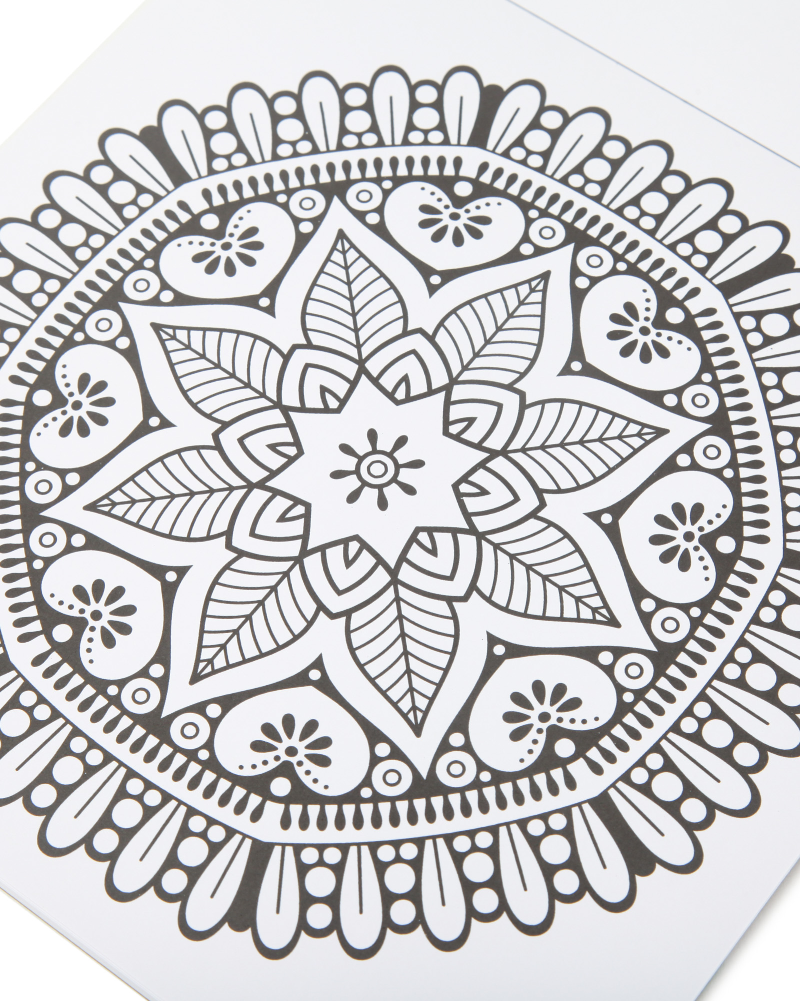 Раскраска Attivio Цветы антистресс 24 листа - фото 3