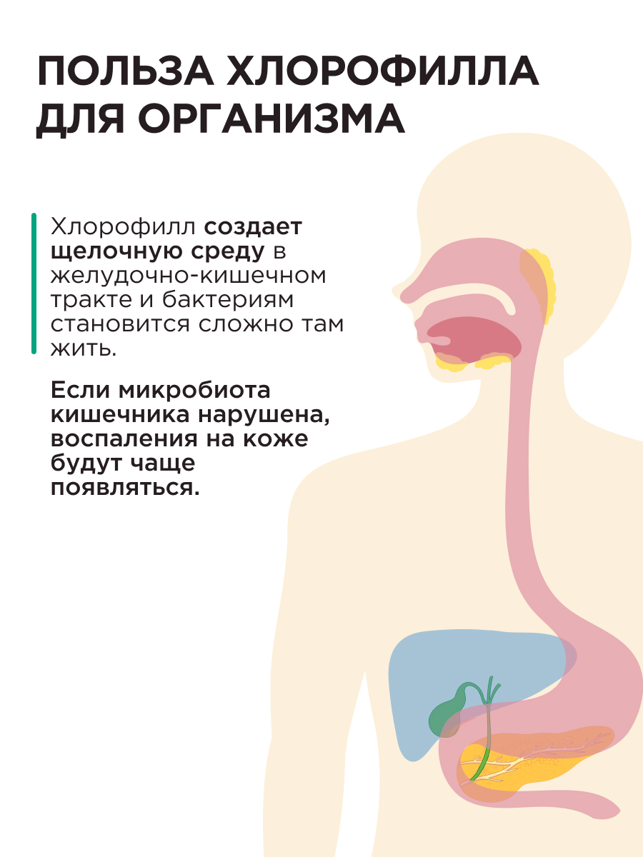 Мята и Виноград Guarchibao Хлорофилл - фото 4