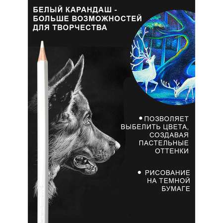 Карандаши цветные ACMELIAE 36 шт.