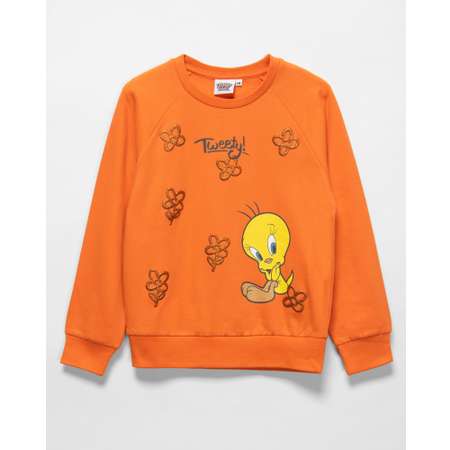 Толстовка Looney Tunes