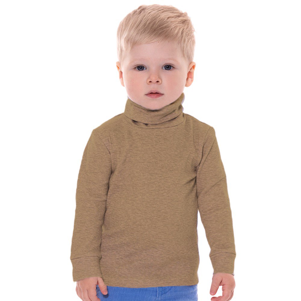 Водолазка Clever. Водолазка/SS121_кофе - фото 1