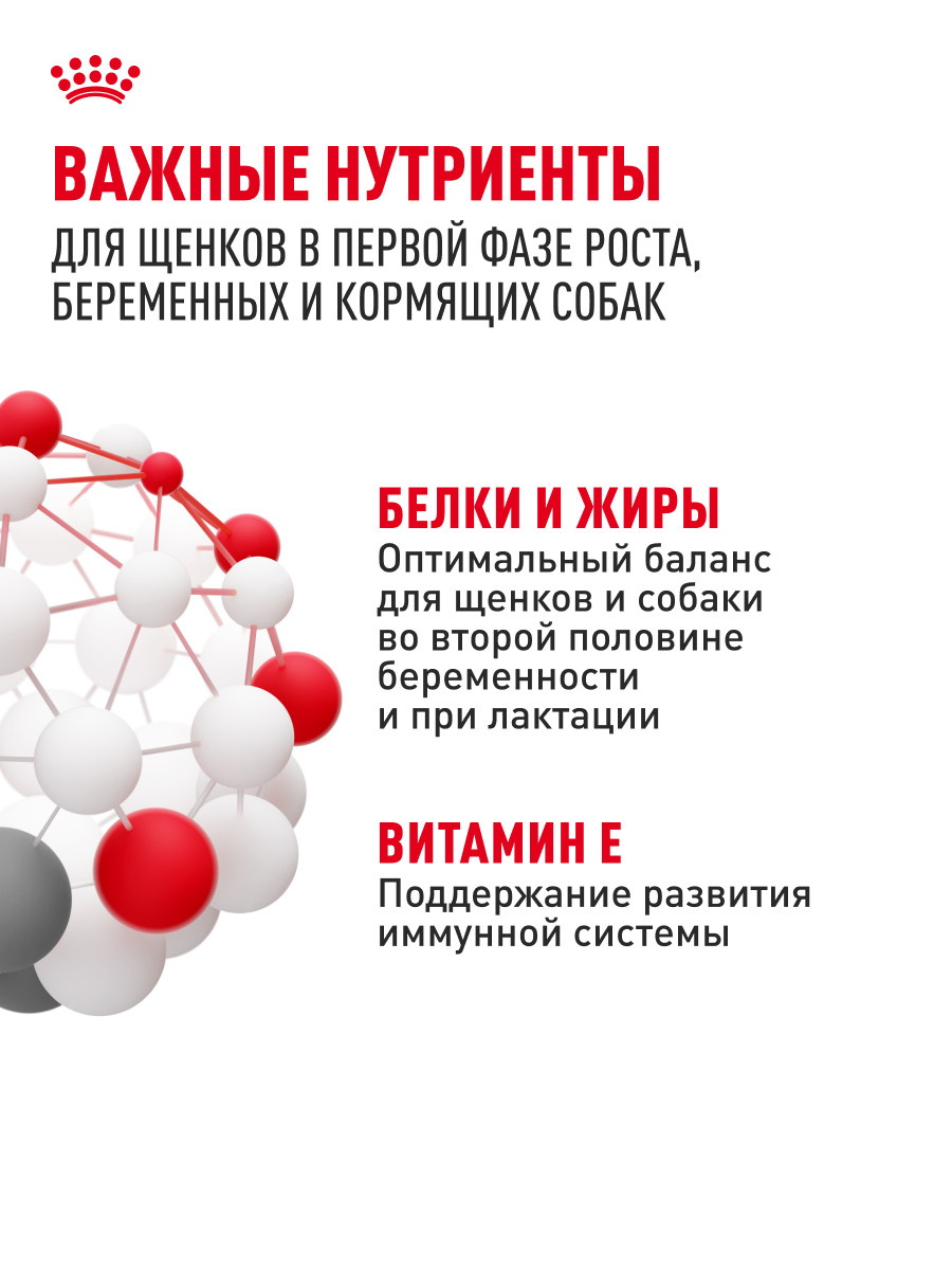 Корм для щенков беременных и кормящих Royal Canin 4кг Medium Starter средних сухой - фото 5
