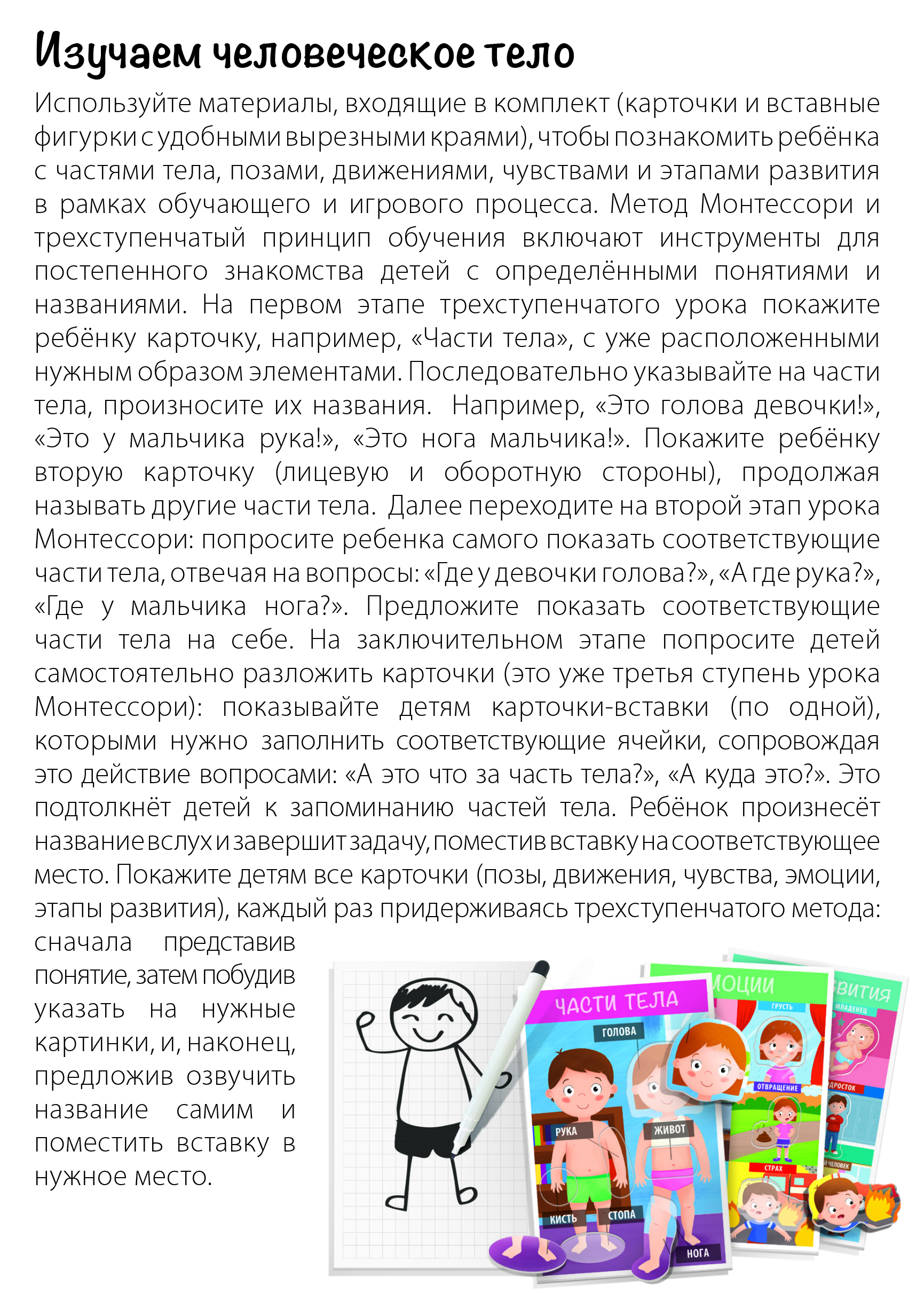 Настольная игра HEADU Как устроен человек для детей - фото 6