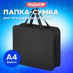 Папка для тетрадей Пифагор А4