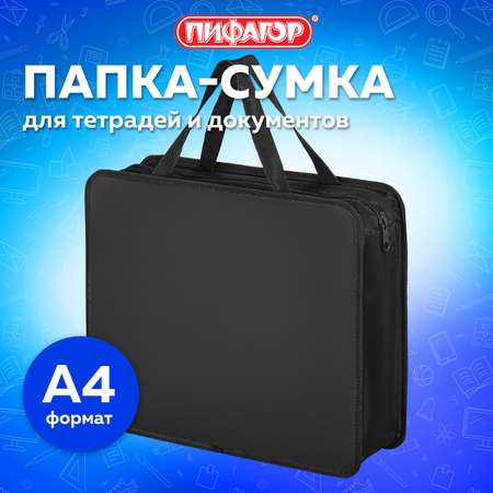 Папка для тетрадей Пифагор А4