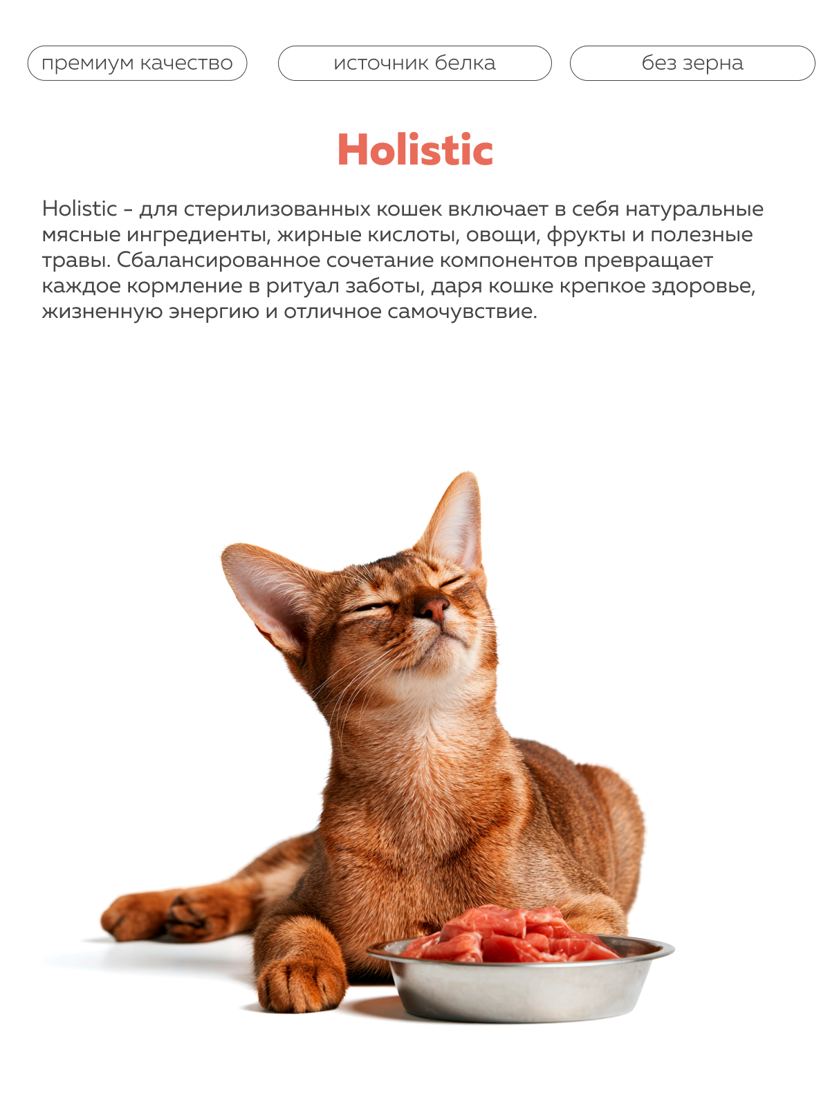 Корм сухой для кошек Зоогурман Holistic индейка с белой рыбой 1.5кг - фото 2