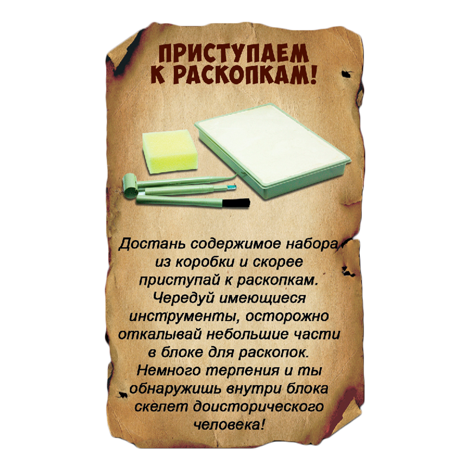 Набор для раскопок Bondibon - фото 6