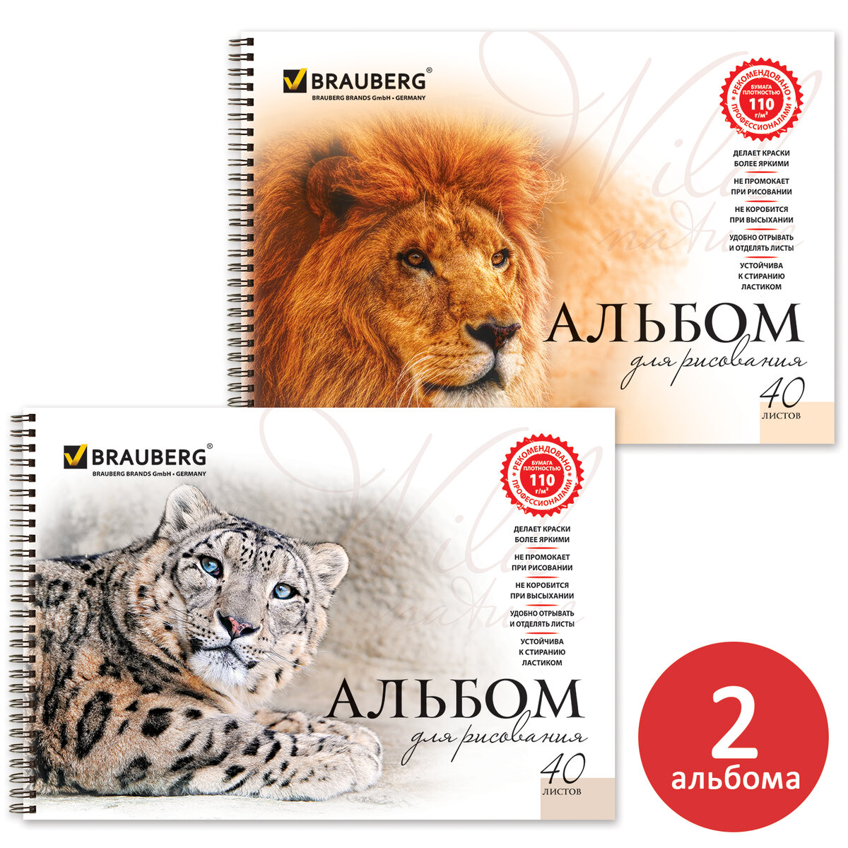 Альбом Brauberg А4 2 шт. - фото 7
