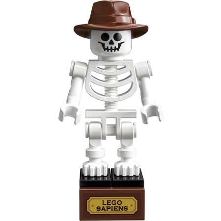 Конструктор LEGO Ideas 21320 910 дет.