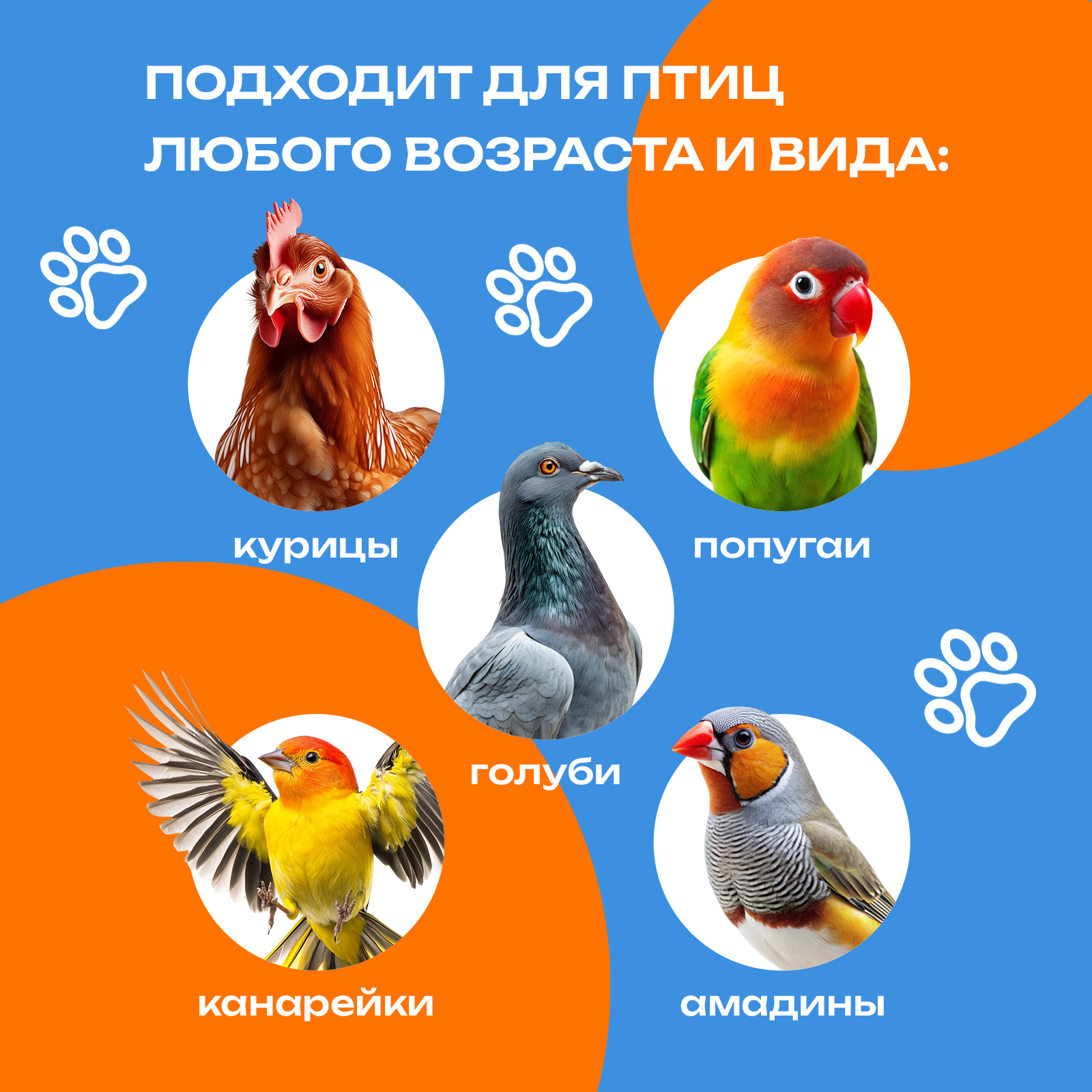 Средство для кур PETPOWER от пероедов, блох и клещей с алоэ 500 мл - фото 4