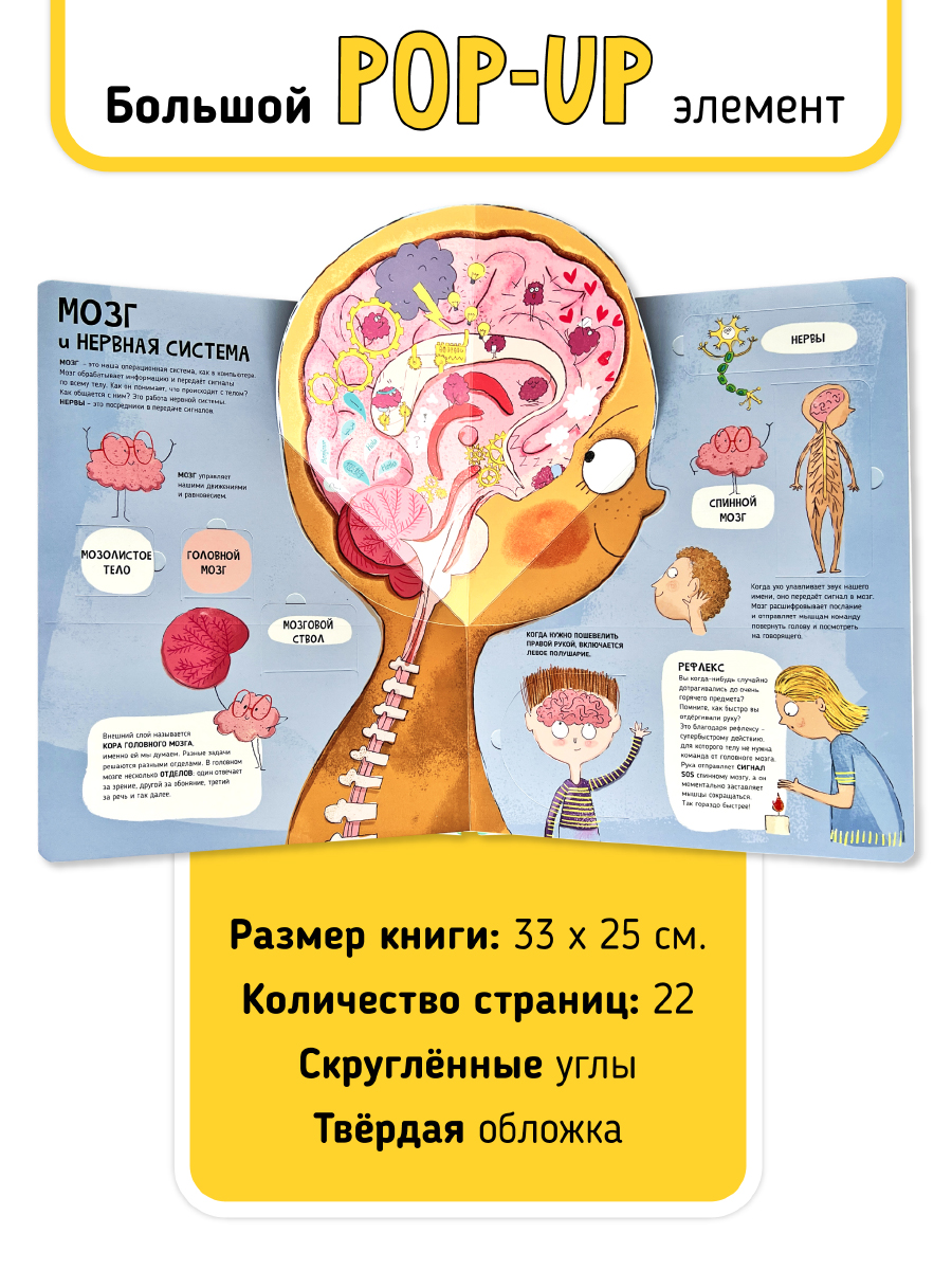 Книга с окошками и pop up Счастье внутри из научной серии Дискавери с интерактивными страницами Тело человека - фото 6
