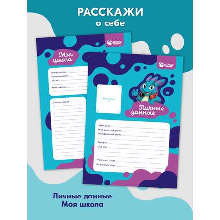 Папка-портфолио SCHOOLFORMAT А4