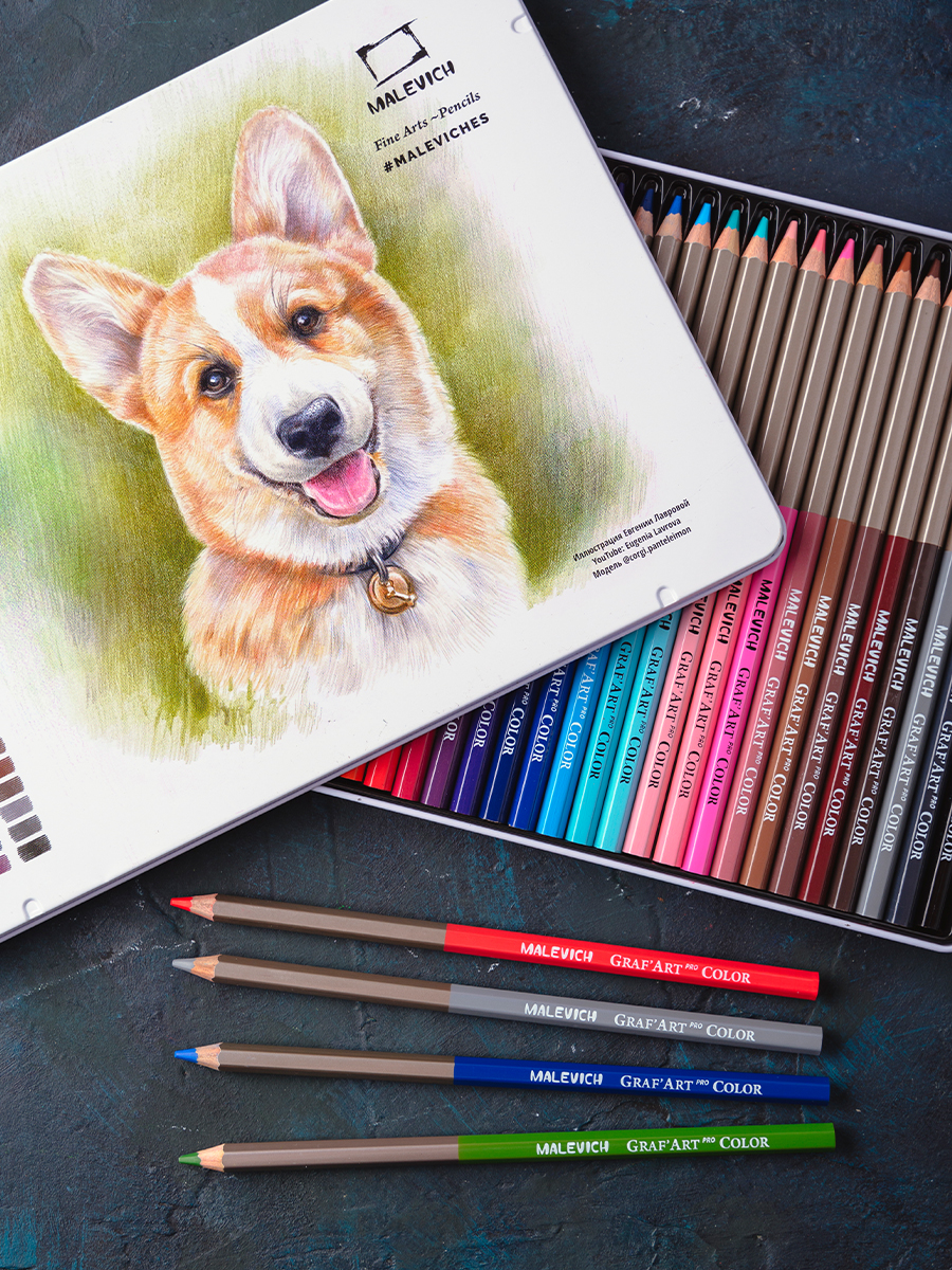 Карандаши цветные Малевичъ 30 шт. - фото 4