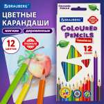 Карандаши цветные Brauberg 12 шт.