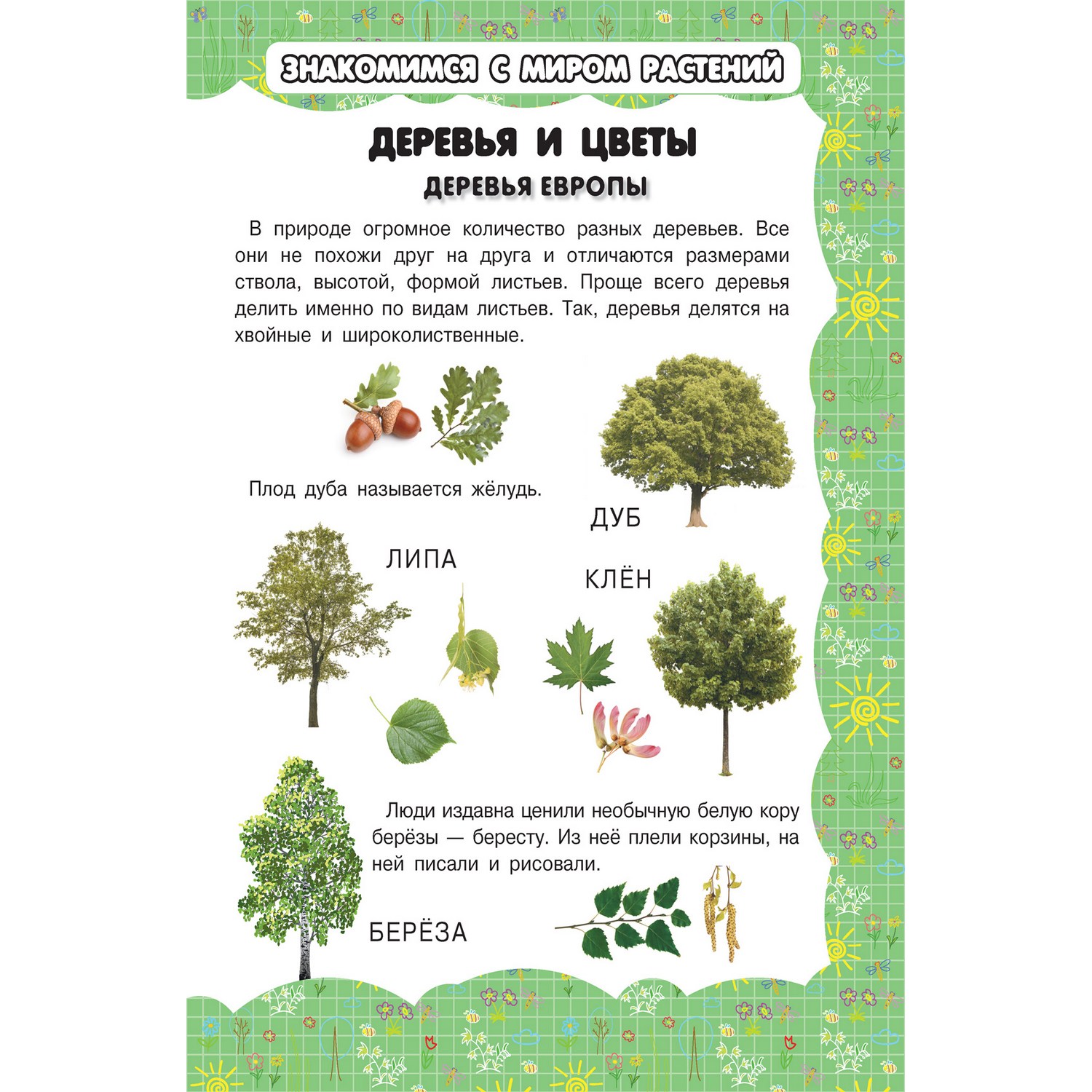 Книга Харвест Моя первая книга Деревья и цветы - фото 2
