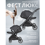 Коляска прогулочная Farfello Фест Люкс / Fest Lux черный