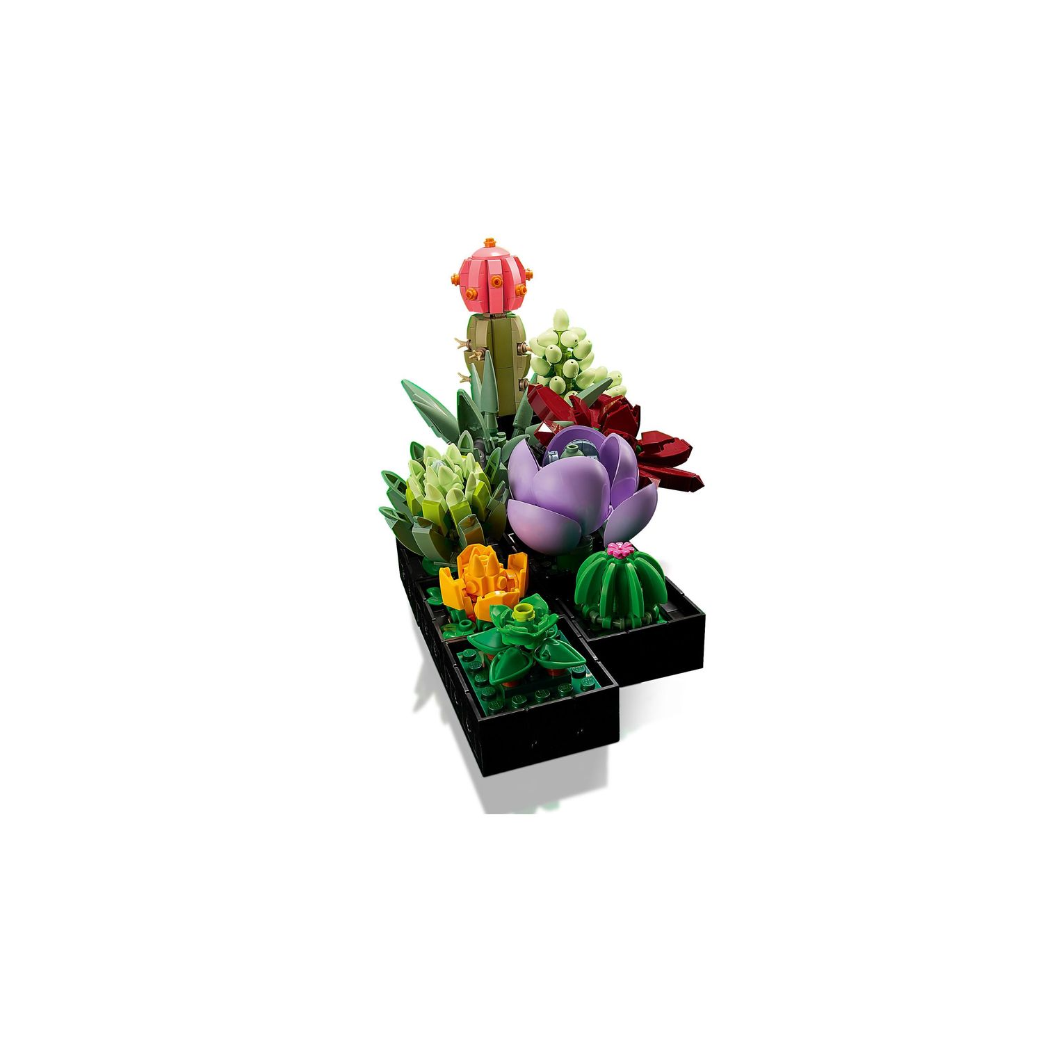 Конструктор LEGO Icons Суккуленты блочный - фото 4