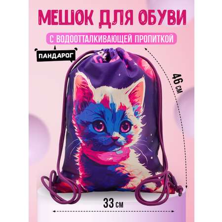 Мешок для обуви ПАНДАРОГ