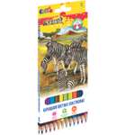 Карандаши цветные deVENTE 12 шт.