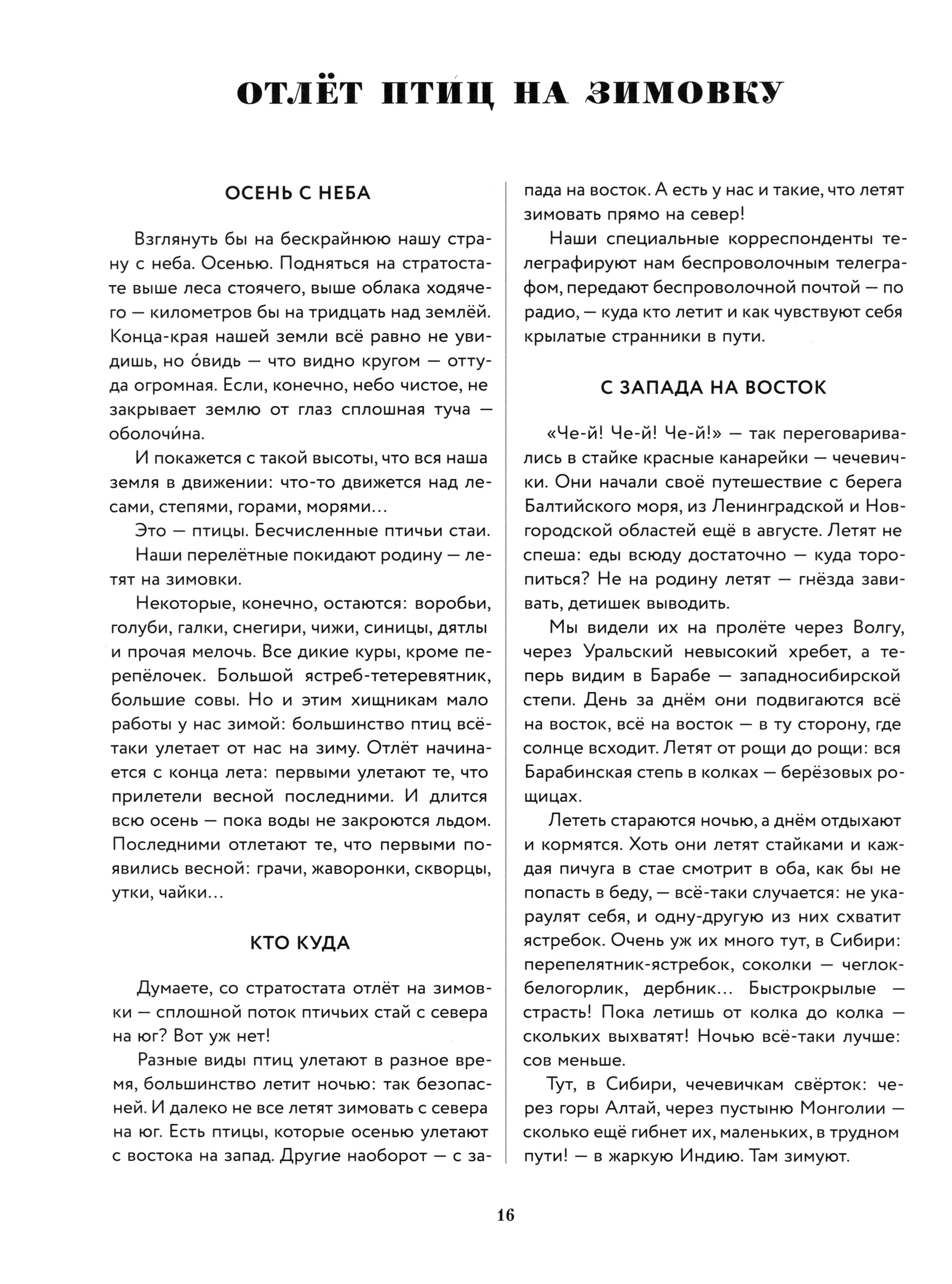 Книга Стрекозa Лесная газета Осень - фото 6
