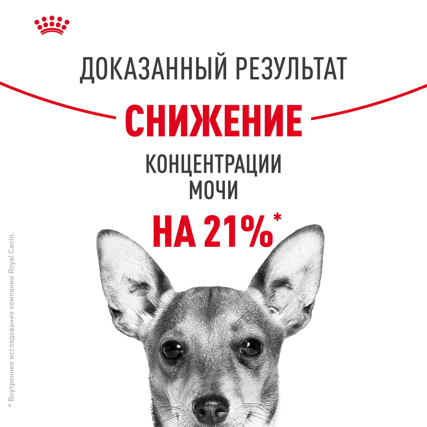 Корм для собак ROYAL CANIN Mini Urinary Care мелких пород профилактика МКБ 1кг - фото 4