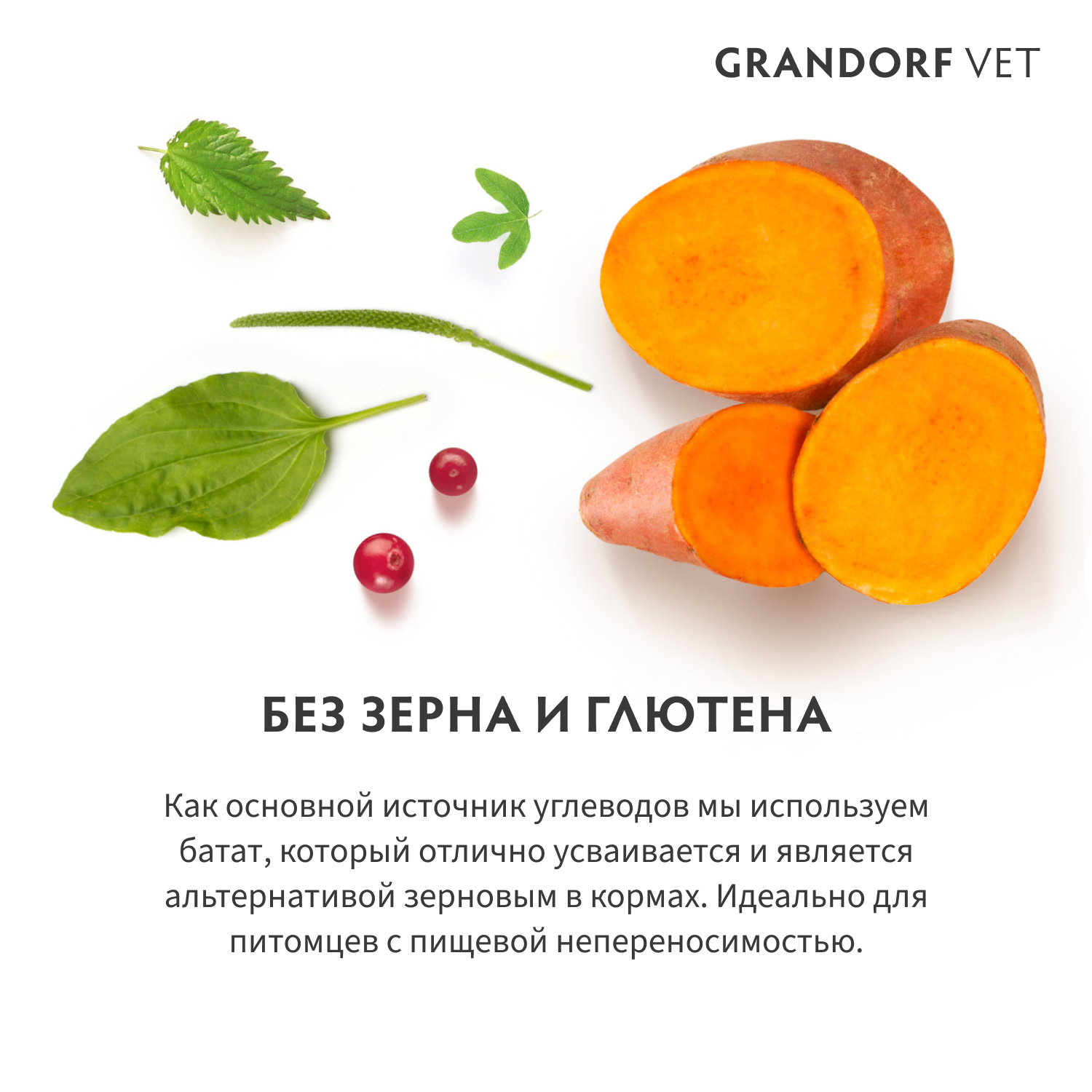 Корм для кошек GRANDORF VETERINARY для поддержания функции печени при ХПН 2кг - фото 3