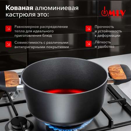 Кастрюля со стеклянной крышкой Moulin Villa Blackwood 4,4 литра