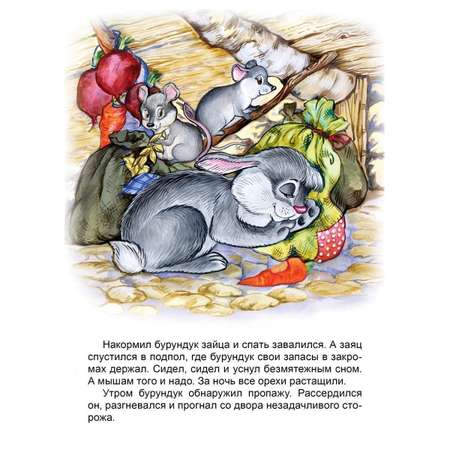 Книга Алтей Детские книги сказки для малышей Зайкины друзья 2 шт.