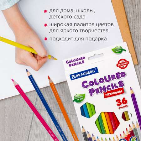 Карандаши цветные Brauberg 36 шт.