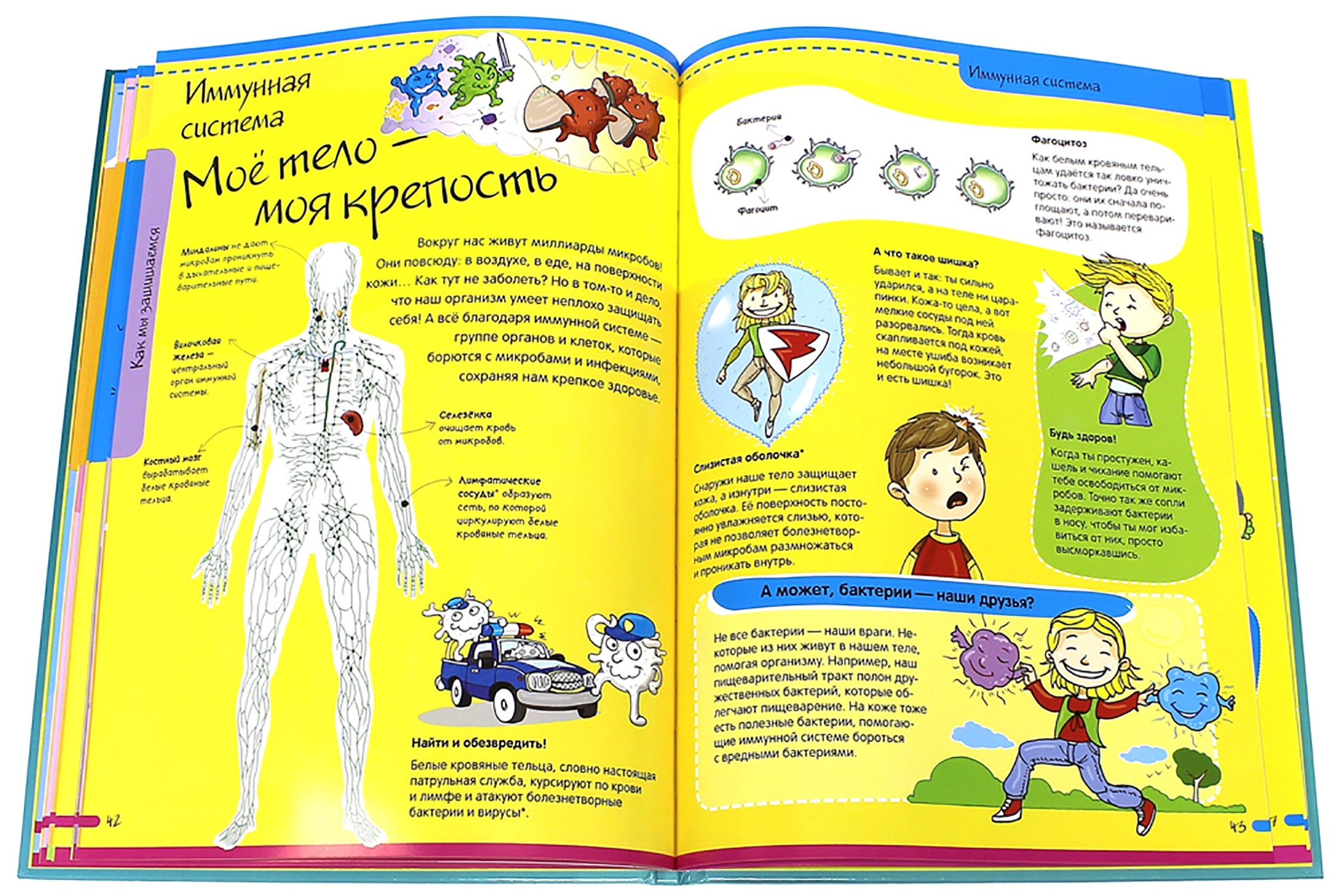 Книга Лабиринт Тело человека Нескучная анатомия - фото 8