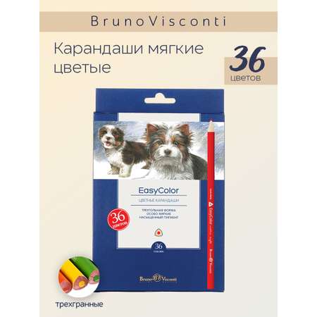 Карандаши цветные Bruno Visconti 36 шт.