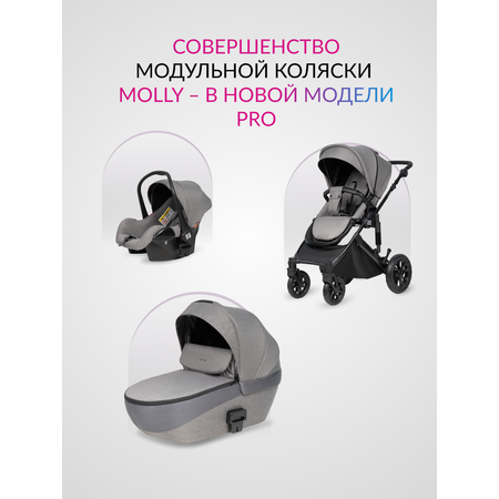 Коляска 3в1 Farfello Molly Pro серый