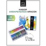 Краски акварель Малевичъ 24 цв.