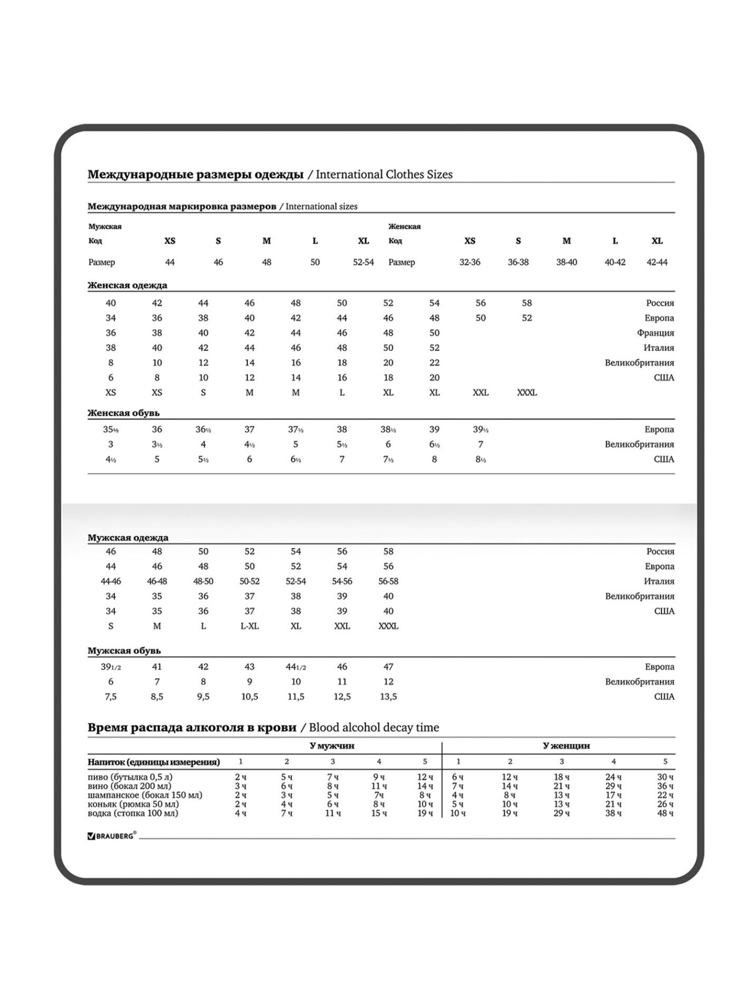 Блокнот Brauberg 64 лист. - фото 13