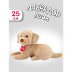 Мягкая игрушка Trudi Лабрадор Лиам 25 см