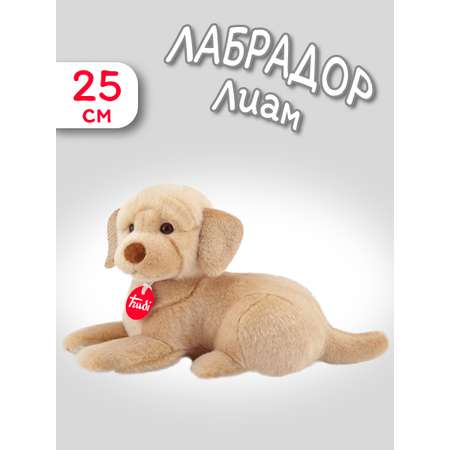 Мягкая игрушка Trudi Лабрадор Лиам 25 см