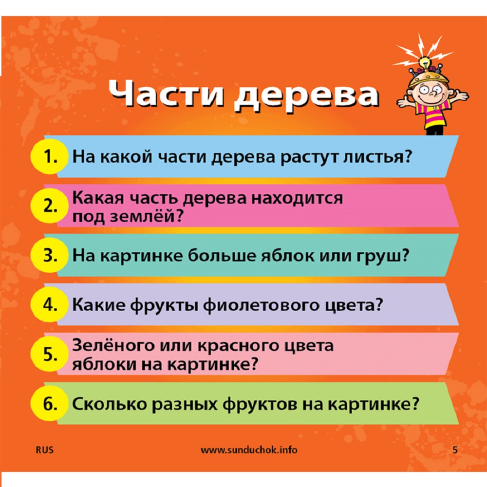 Настольная игра BrainBox - фото 4