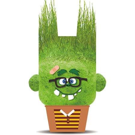 Набор для выращивания Hape