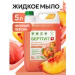 Мыло жидкое SEPTIVIT Нежный персик 5200 г 5000 мл