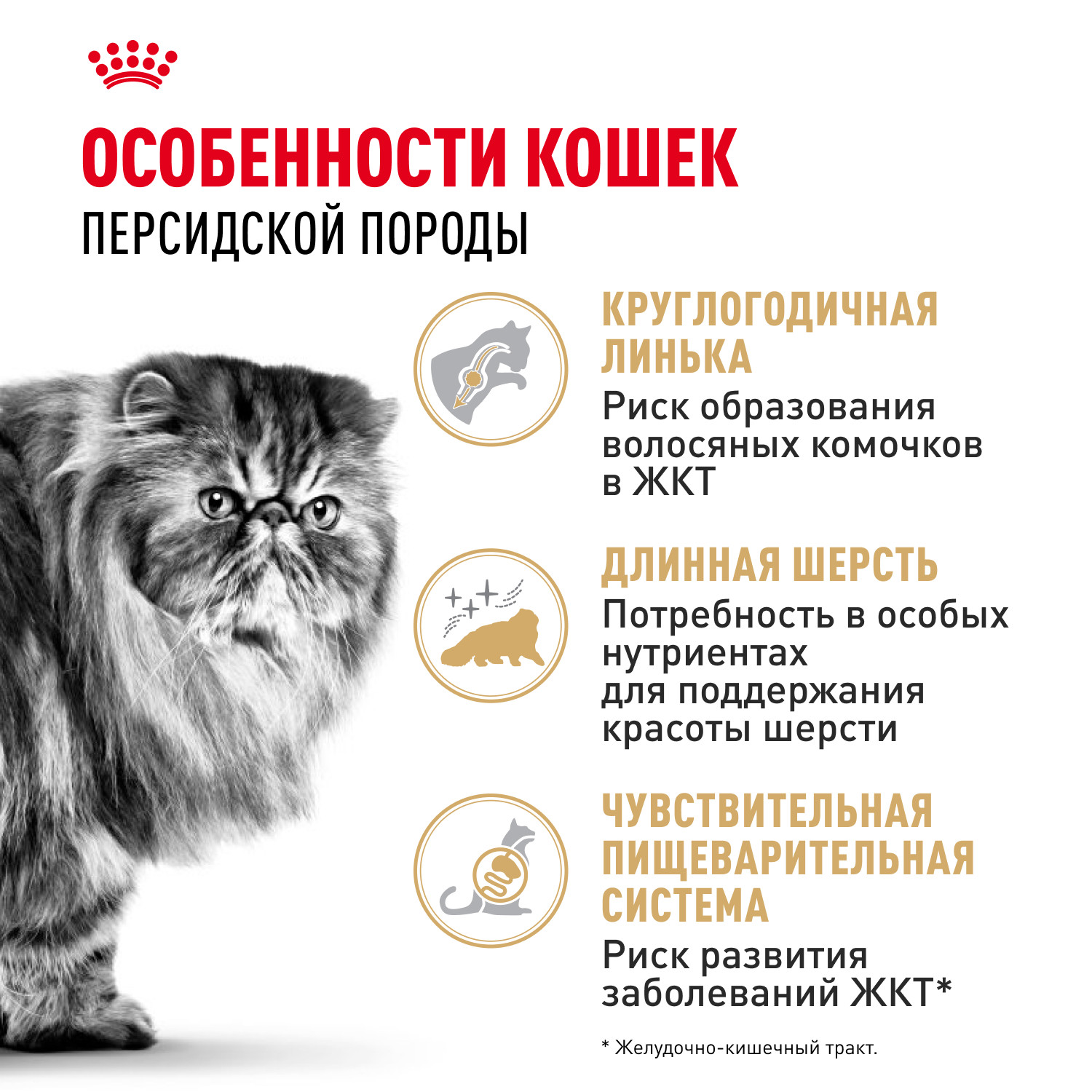 Корм сухой для кошек ROYAL CANIN Persian 400г персидских - фото 2