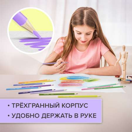 Карандаши цветные Brauberg 24 шт.