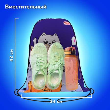 Мешок для обуви Пифагор