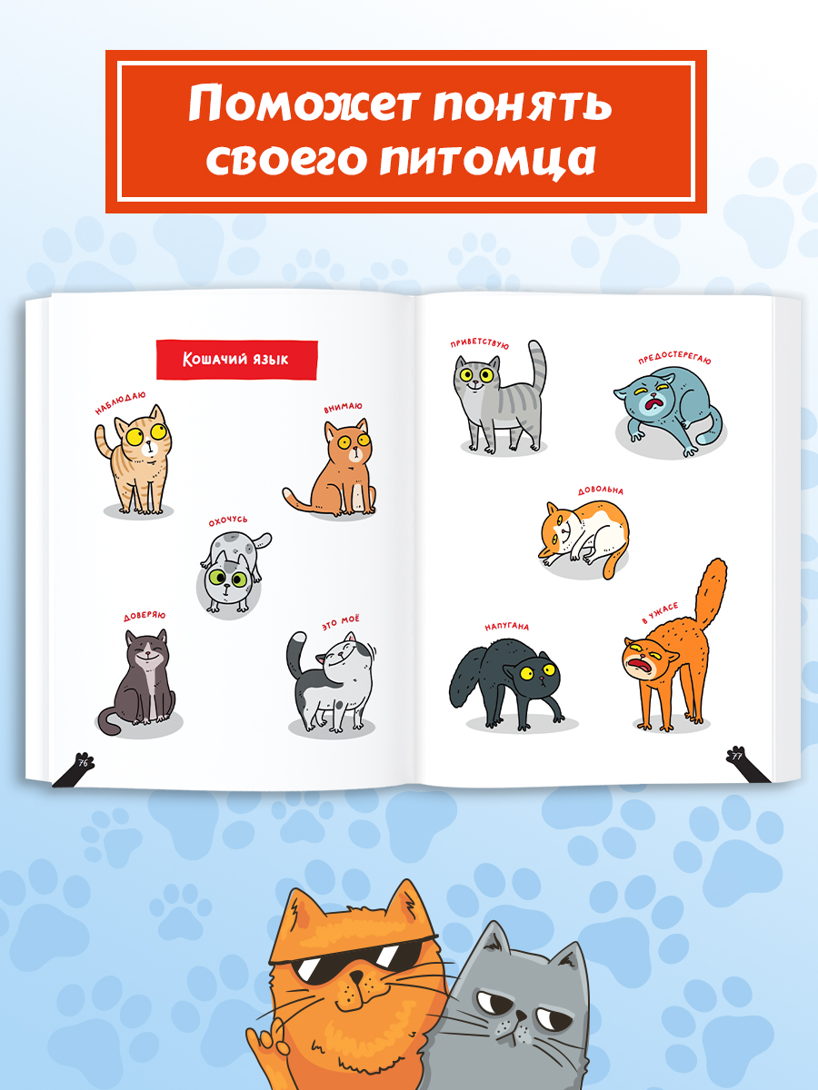 Книга Проф-Пресс детская энциклопедия Кошки Большие секреты маленьких хищников Мягкий переплет - фото 7